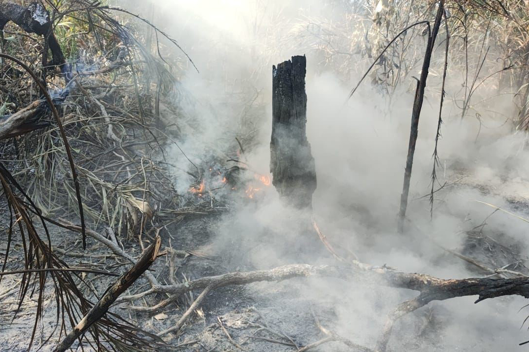 incêndios